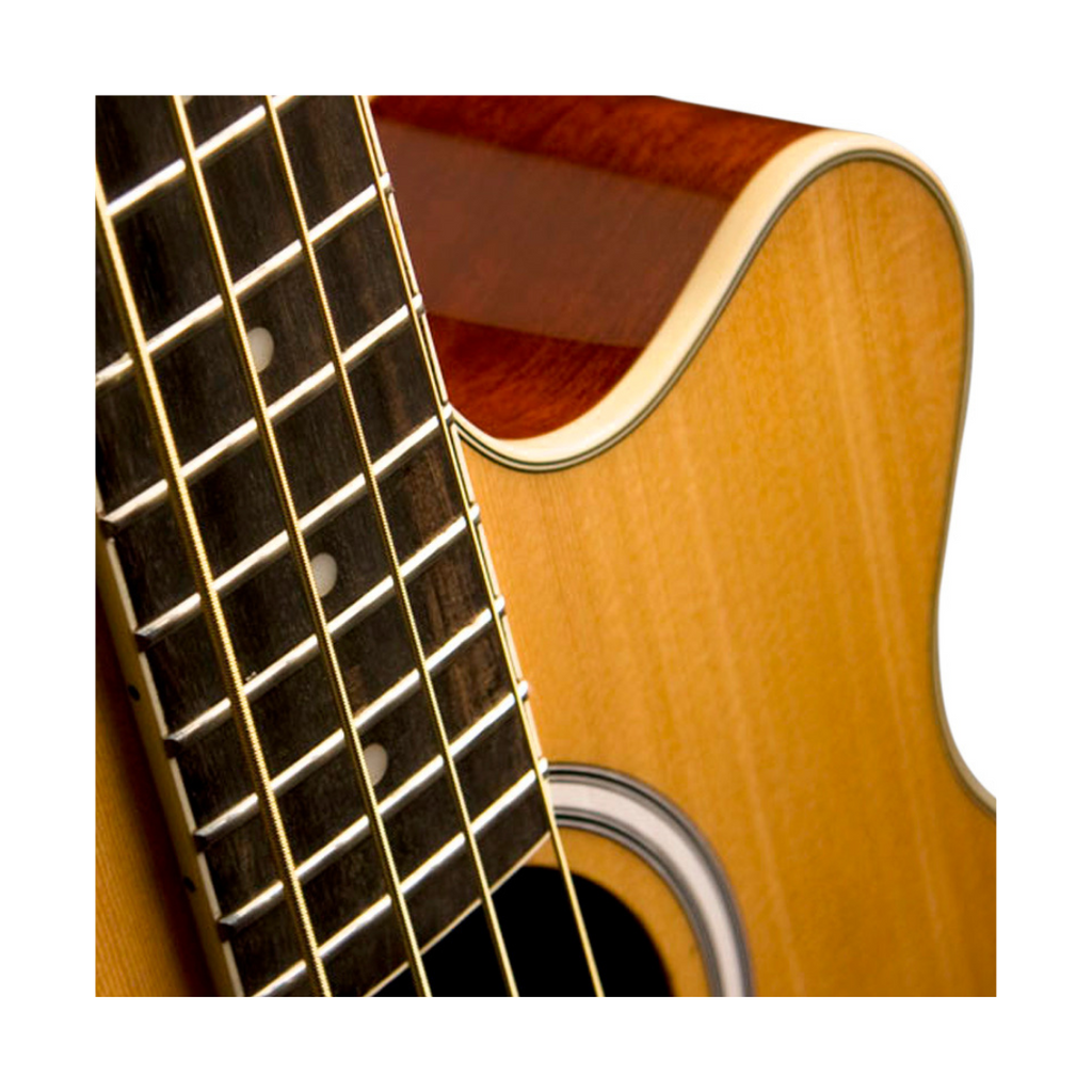 Bajo Electroacústico Washburn AB5K C/FUNDA