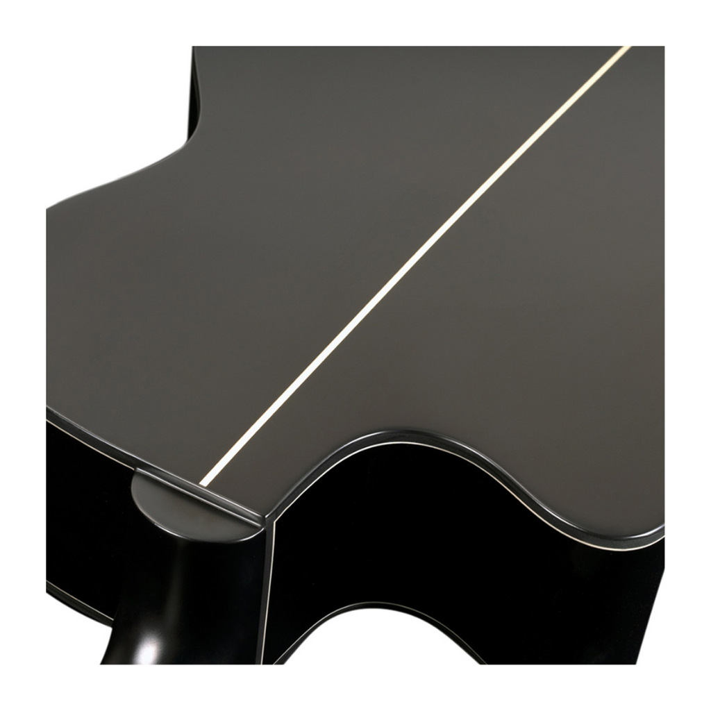 Guitarra Electroacústica Washburn EBONY ACE