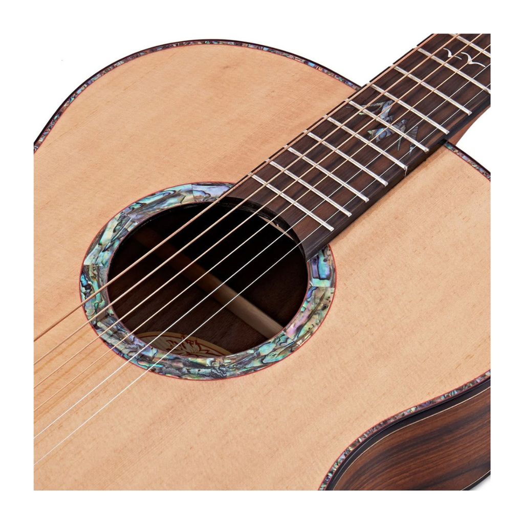 Guitarra Acústica Washburn BTS24S